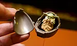 Hasbro Black Series – Din Djarin & The Child (Grogu)